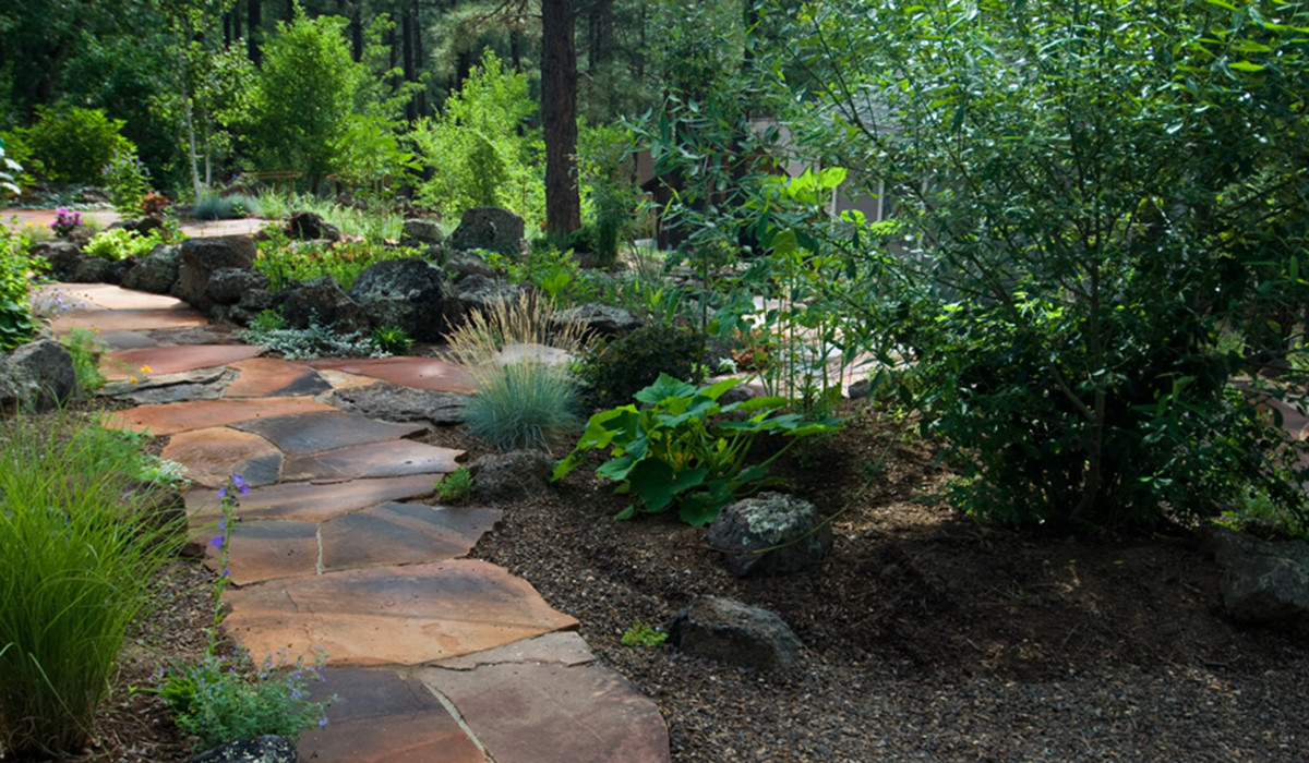 Naturalistic woodland landscape with stone path and mature planting