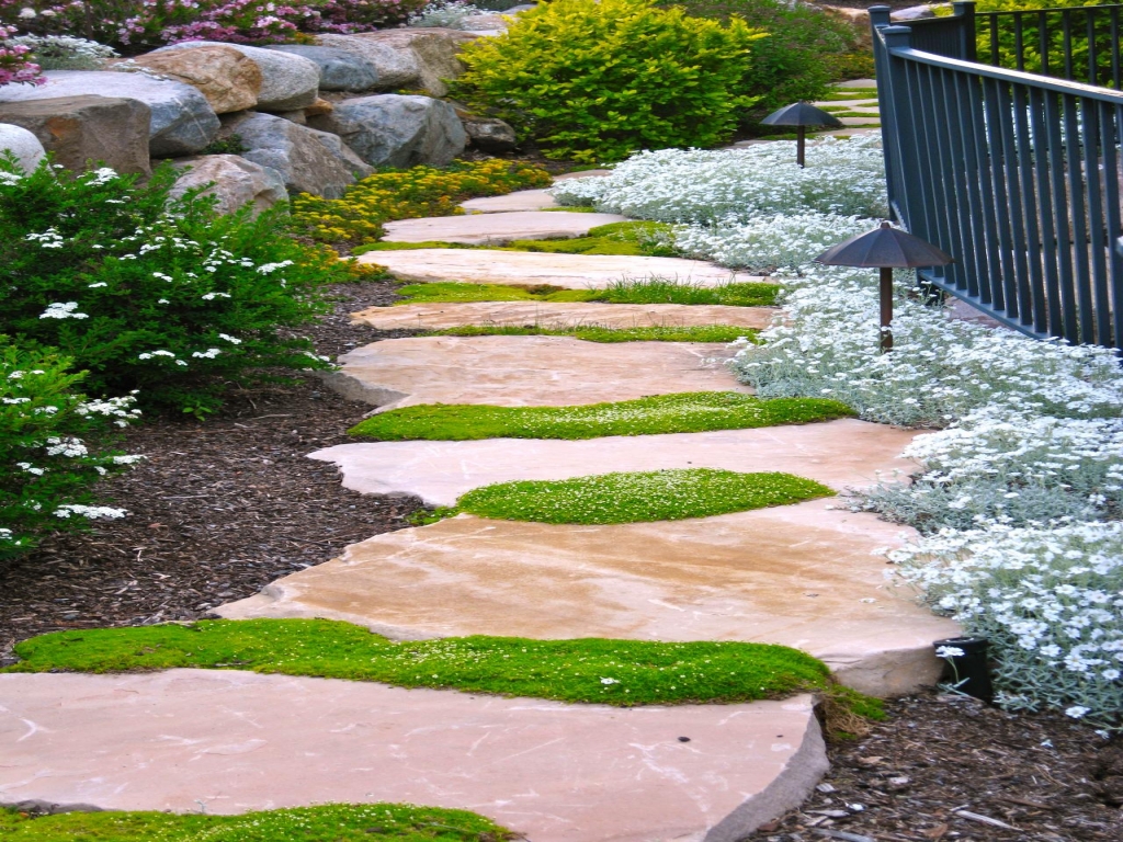 Mossy stone path in a woodland-inspired garden