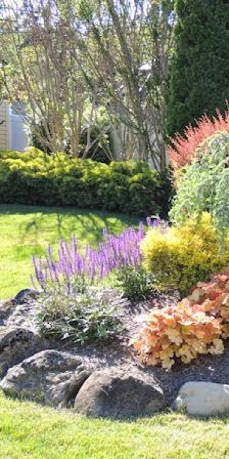 Colorful ornamental planting with boulders and contrasting foliage