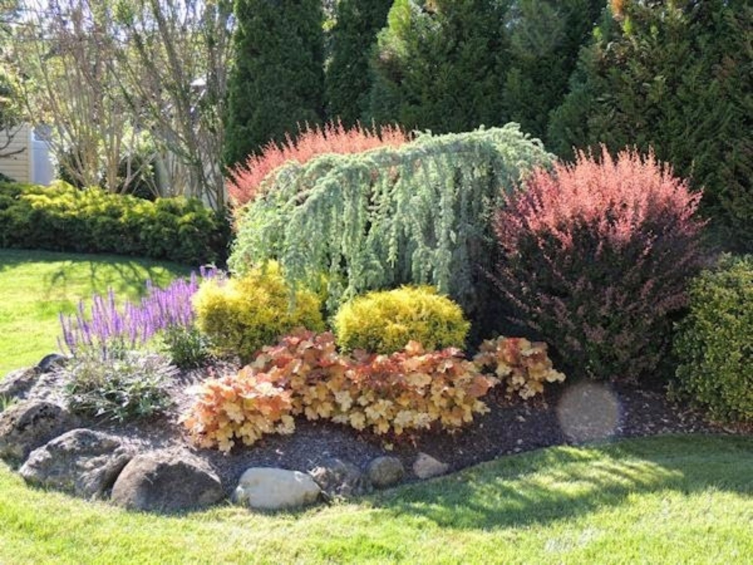 Layered ornamental planting with contrasting color, texture and form